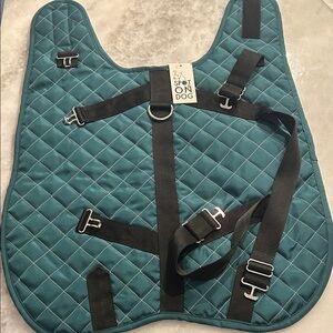 Teal Quilted Dog jacket with Built In Harness